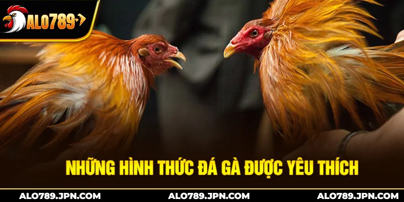 Đá Gà ALO789 – Sân Chơi Đỉnh Cao Cho Những Chiến Kê 2 Những hình thức đá gà được yêu thích